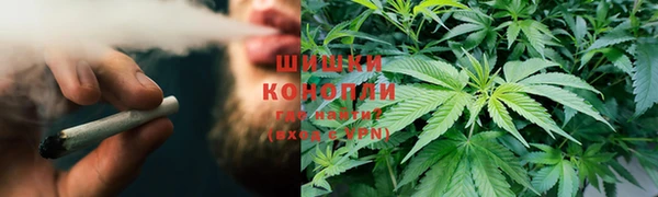 соль курить ск Бородино