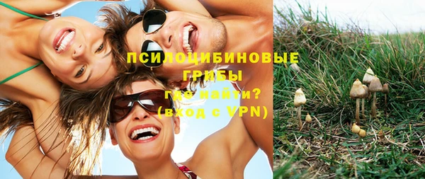 соль курить ск Бородино